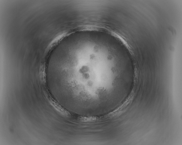 X0000111841403200907231358