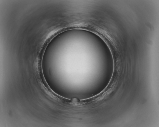 X0000111841404200907231358