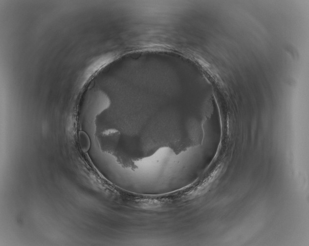 X0000111841405200907231358
