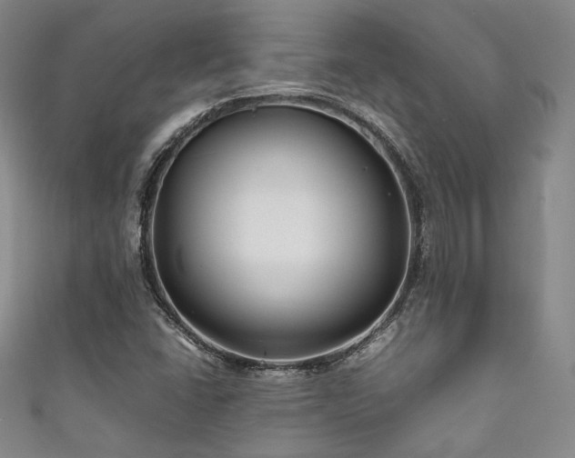 X0000111841406200907231358