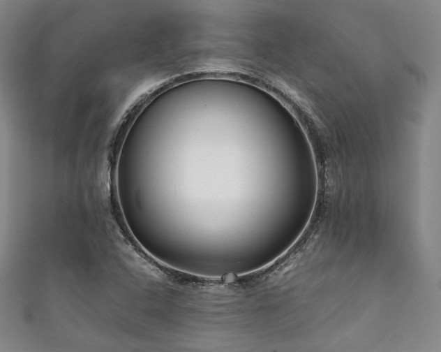 X0000111841408200907231358