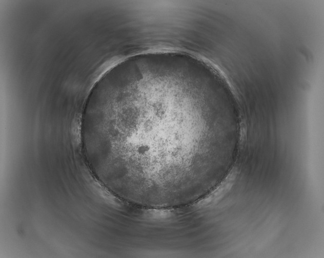 X0000111841409200907231358