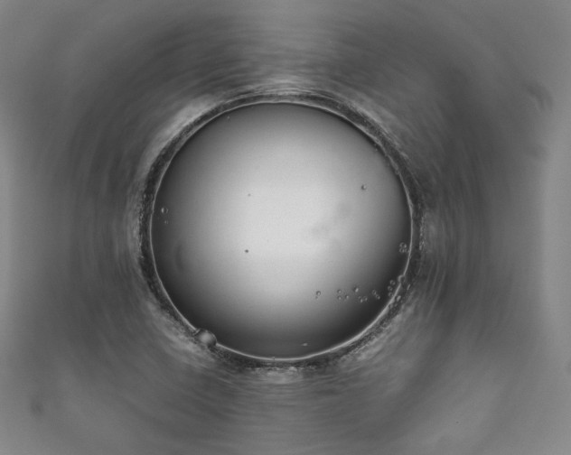 X0000111841410200907231358