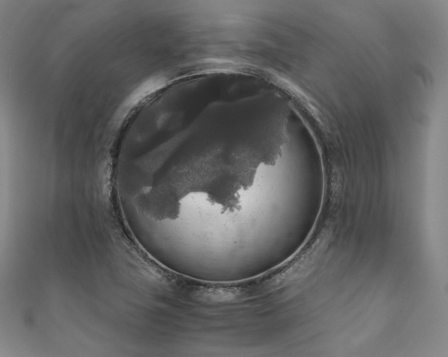 X0000111841411200907231358