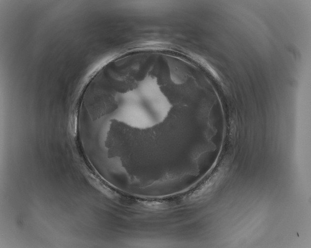 X0000111841413200907231358
