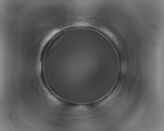 X0000111841414200907231358