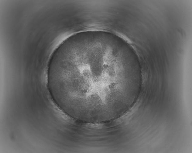 X0000111841415200907231358