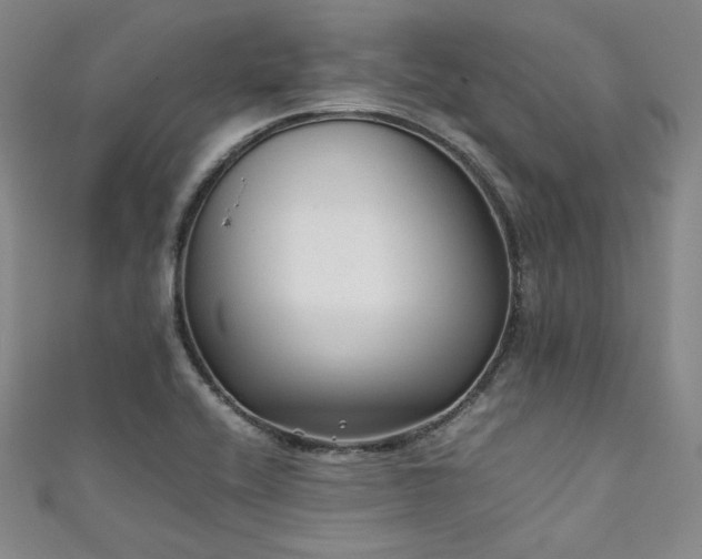 X0000111841416200907231358