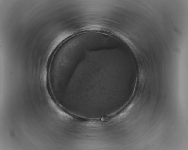 X0000111841418200907231358