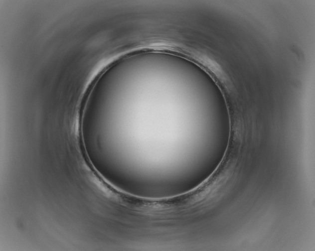 X0000111841420200907231358