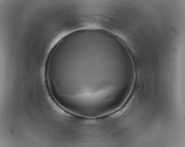 X0000111841422200907231358