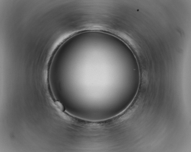 X0000111841424200907231358