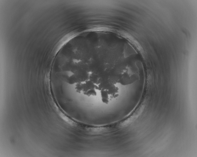 X0000111841425200907231358