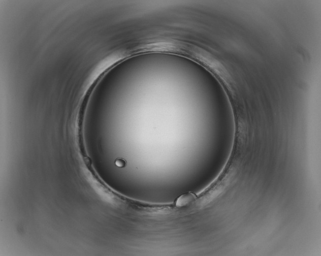 X0000111841426200907231358