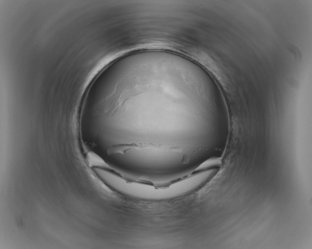 X0000111841428200907231358