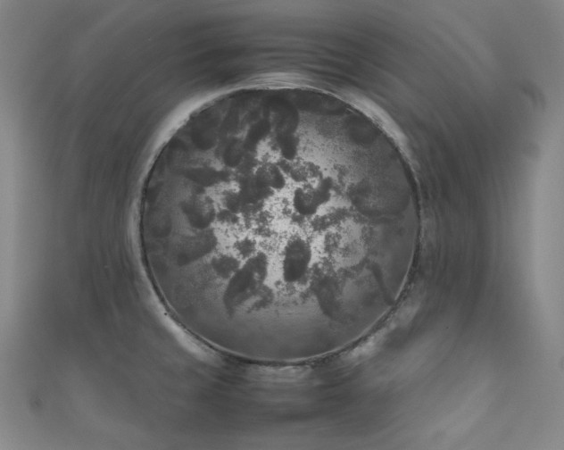 X0000111841429200907231358