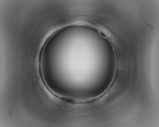 X0000111841430200907231359
