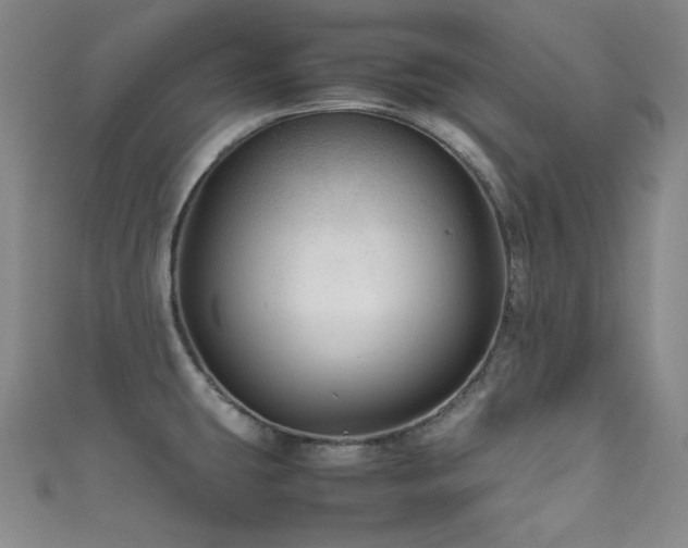 X0000111841431200907231359