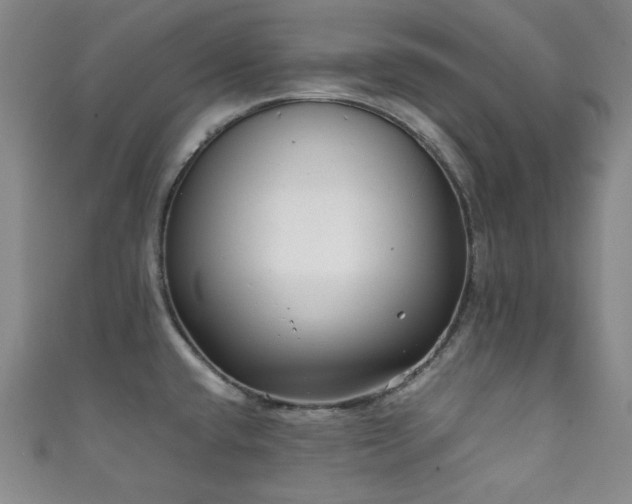 X0000111841432200907231359