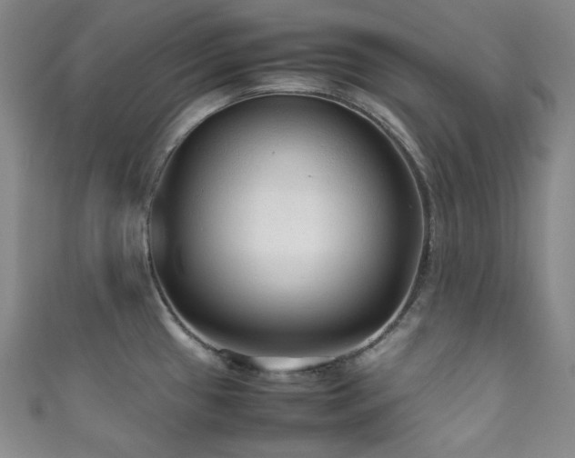 X0000111841433200907231359