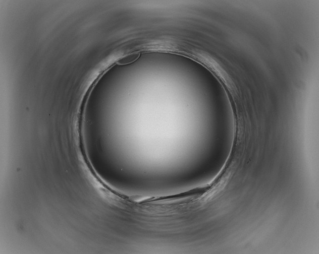 X0000111841434200907231359