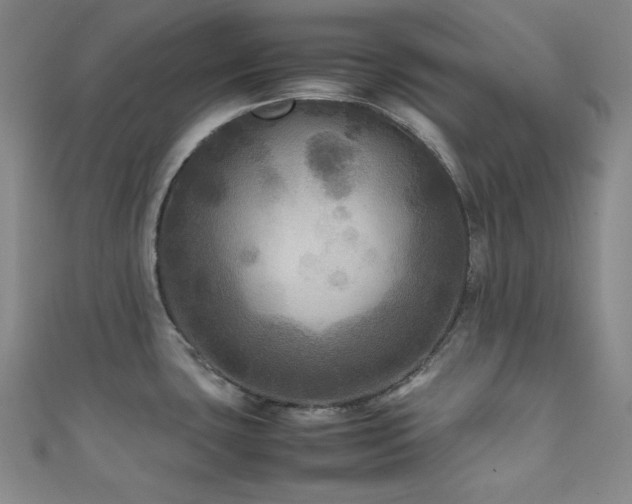 X0000111841435200907231359