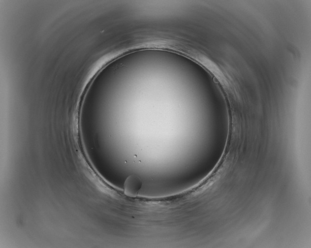 X0000111841436200907231359
