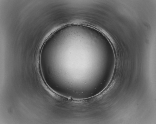 X0000111841437200907231359