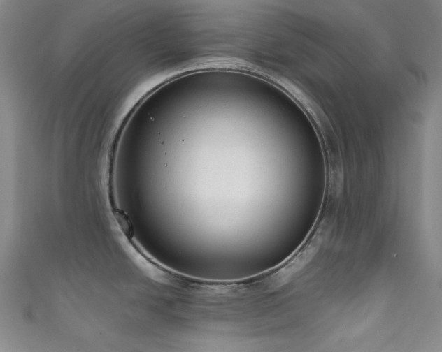 X0000111841438200907231359
