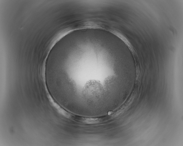 X0000111841439200907231359