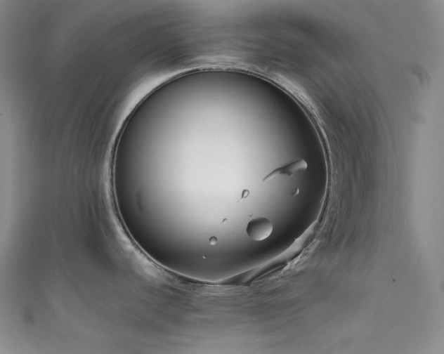 X0000111841440200907231359