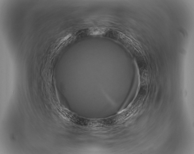 X0000111841441200907231358