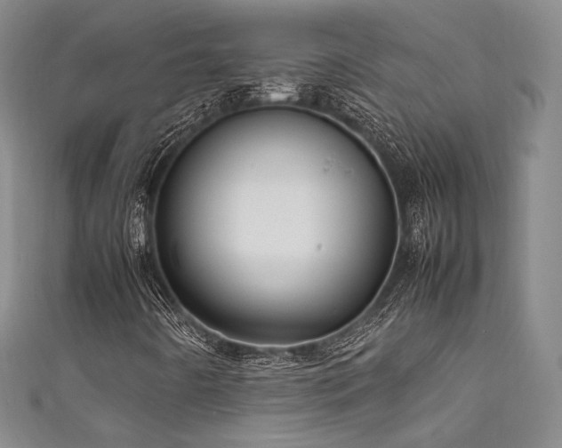 X0000111841442200907231358