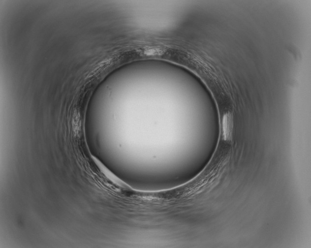 X0000111841443200907231358