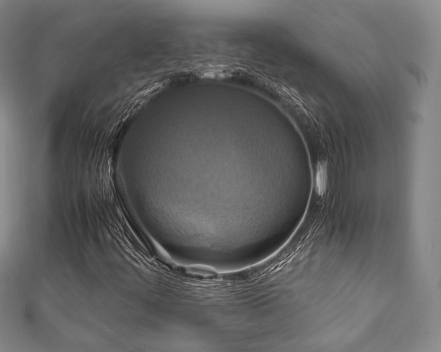 X0000111841444200907231358