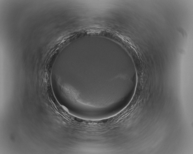 X0000111841445200907231358