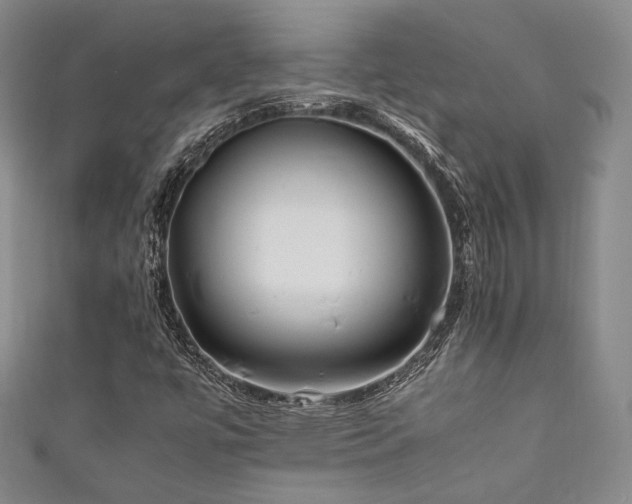 X0000111841447200907231358