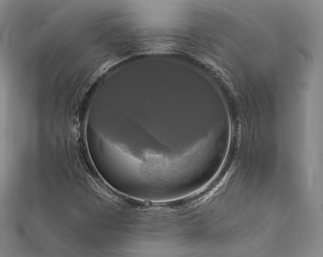 X0000111841449200907231358