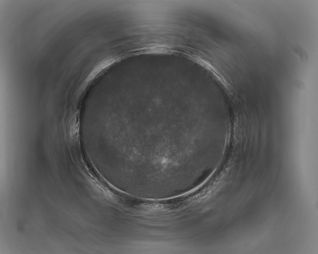 X0000111841450200907231358