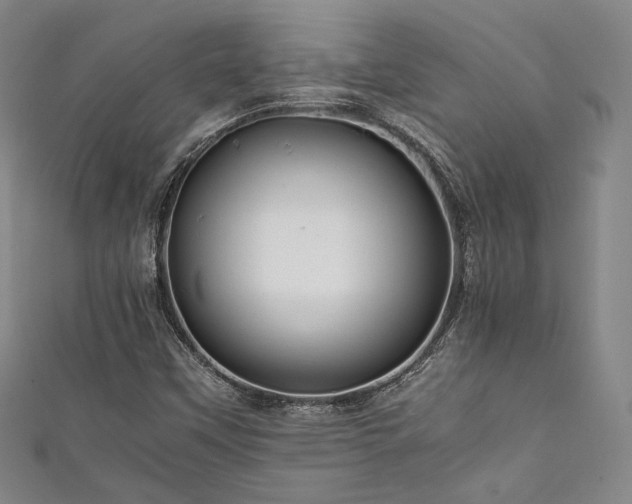X0000111841451200907231358
