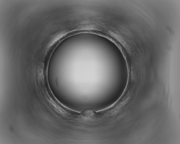 X0000111841452200907231358