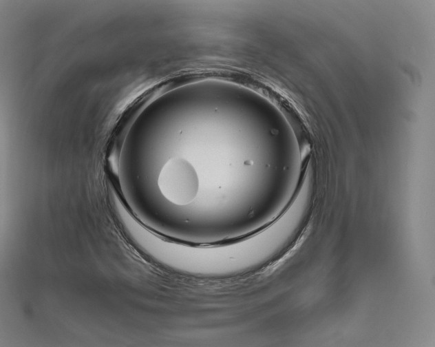 X0000111841453200907231358