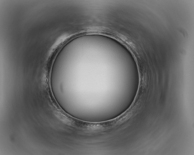 X0000111841454200907231358