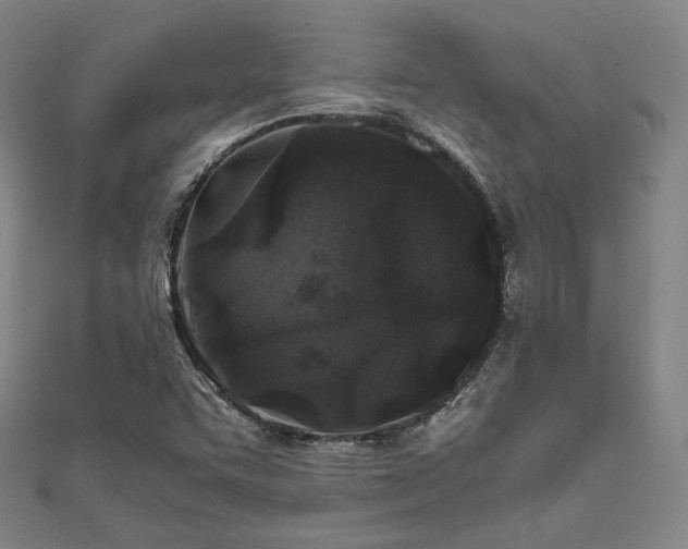 X0000111841455200907231358