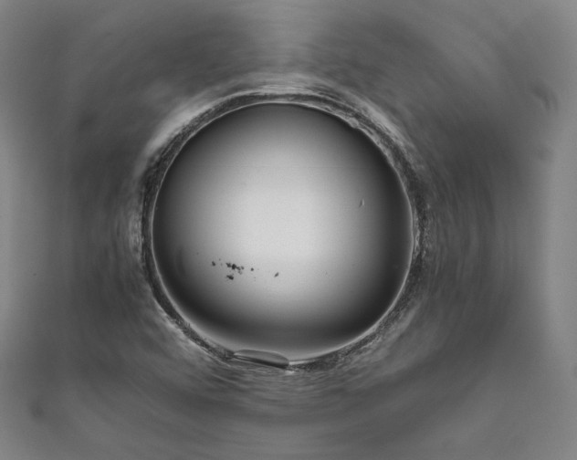 X0000111841456200907231358