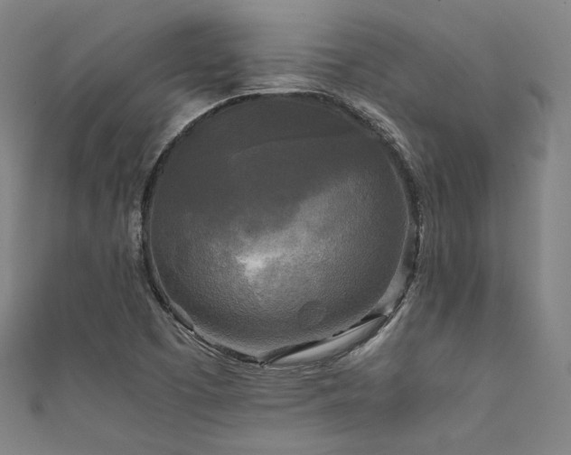 X0000111841457200907231358