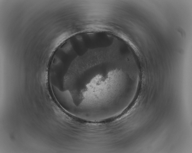 X0000111841459200907231358