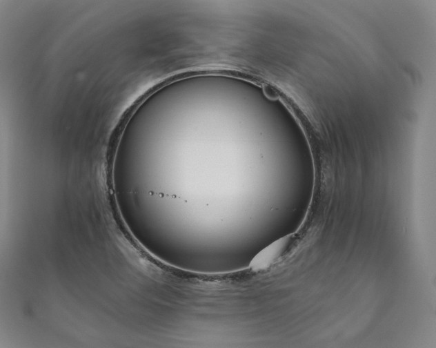X0000111841460200907231358