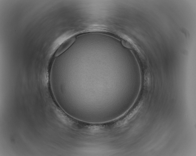 X0000111841461200907231358