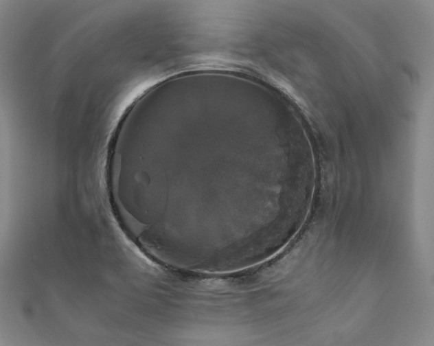 X0000111841463200907231358